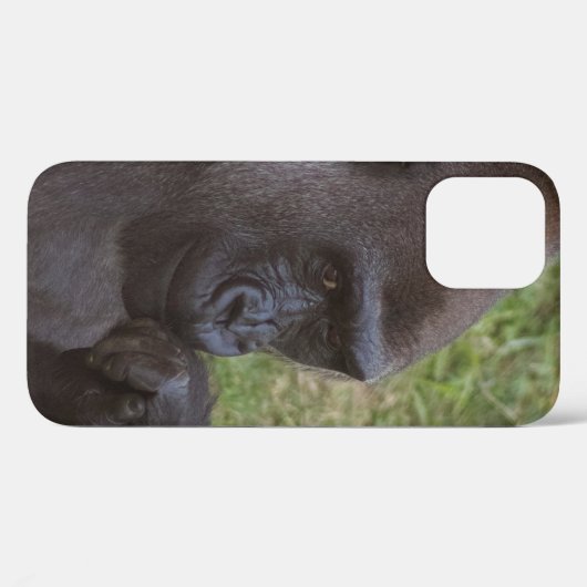 Gorilla Case-Mate iPhone Case (Achterkant (horizontaal))
