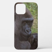 Gorilla Case-Mate iPhone Case (Achterkant)