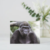Gorilla Close-up Portret Foto Briefkaart (Staand voorkant)