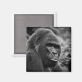 Gorilla Close Up zwart-wit portret Magneet (Voorkant / Achterkant)