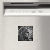 Gorilla Close Up zwart-wit portret Magneet (Insitu (Vaatwasser))