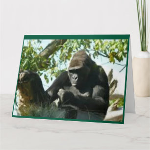 Gorilla-denken Kaart