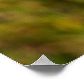 Gorilla die op een boom rust poster (Hoek)