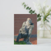 Gorilla die op een rots zit briefkaart (Staand voorkant)
