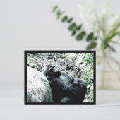 Gorilla Diva Briefkaart (Staand voorkant)