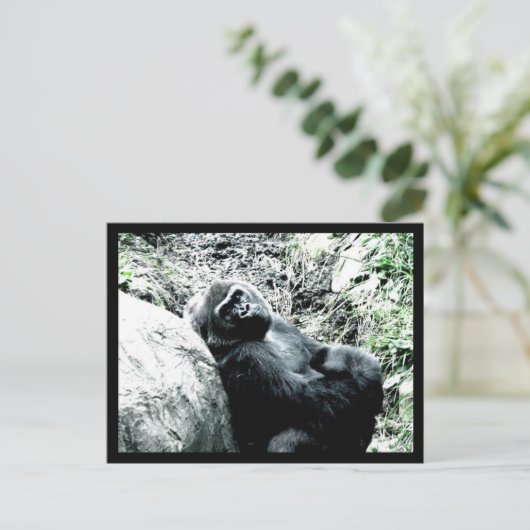 Gorilla Diva Briefkaart (Staand voorkant)