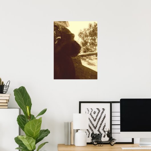 Gorilla Dreams Poster (Thuiskantoor)