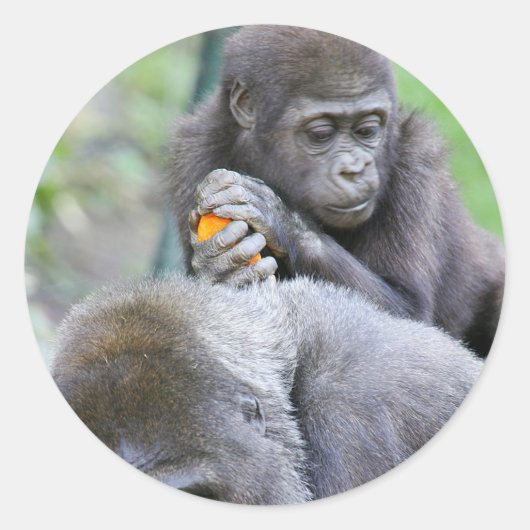 Gorilla en Baby Ronde Sticker (Voorkant)
