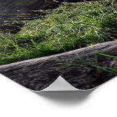 Gorilla en de zon poster (Hoek)