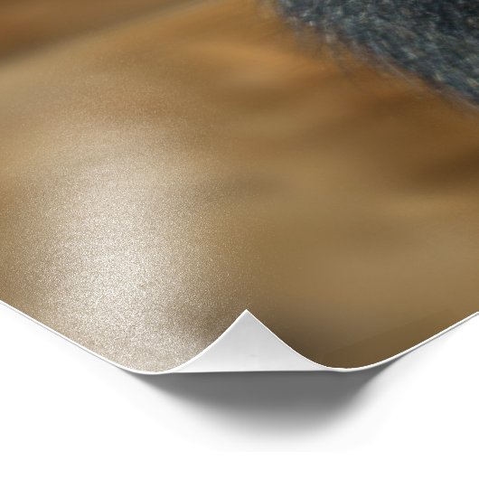 Gorilla en zijn bessen foto afdruk (Hoek)