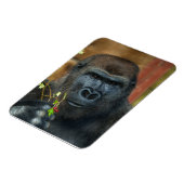 Gorilla en zijn bessen foto magneet (Linkerzijde)