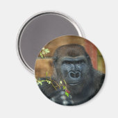 Gorilla en zijn bessen magneet (Voorkant / Achterkant)