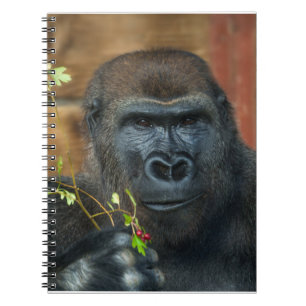 Gorilla en zijn bessen notitieboek