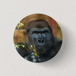 Gorilla en zijn bessen ronde button 3,2 cm