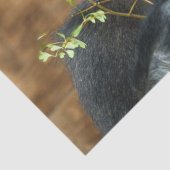 Gorilla en zijn bessen tissuepapier (Detail)