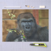 Gorilla en zijn bessen tissuepapier (Craft)