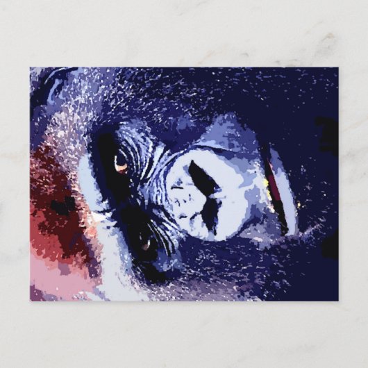 Gorilla Face Briefkaart (Voorkant)