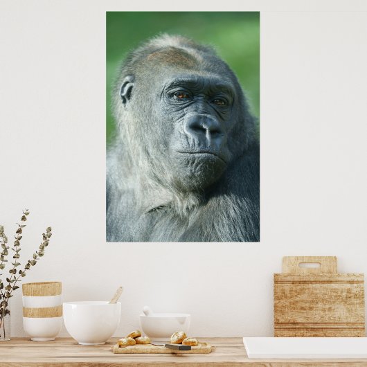 Gorilla Face Poster (Keuken)