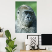 Gorilla Face Poster (Thuiskantoor)