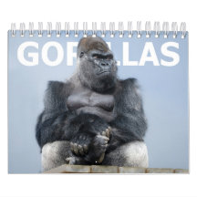 Gorilla Familie 2027 - Zilverrug Oumbi Troep