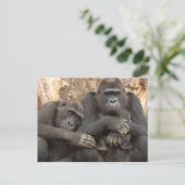 Gorilla Family Briefkaart (Staand voorkant)