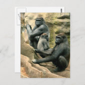 Gorilla Family Briefkaart (Voorkant / Achterkant)