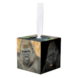Gorilla Family Decoratie