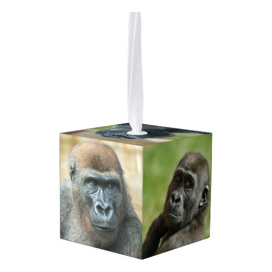 Gorilla Family Decoratie (Achter hoekig)