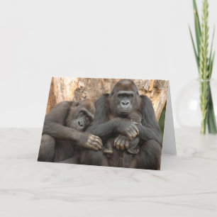 Gorilla Family Kaart