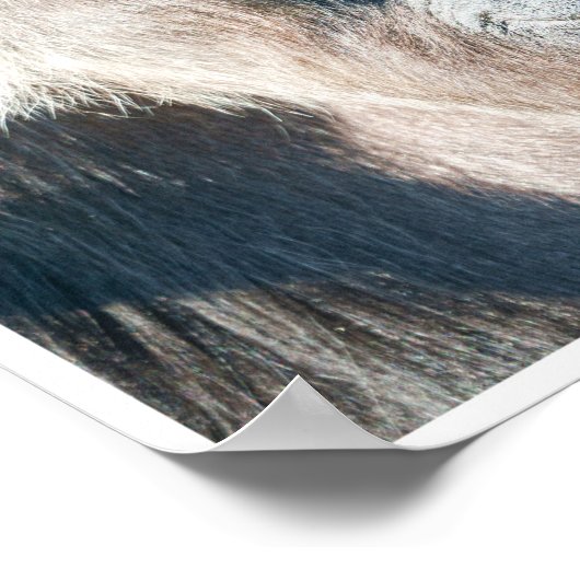 Gorilla Family Poster (Hoek)