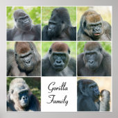 Gorilla Family Poster (Voorkant)