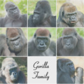 Gorilla Family Sticker (Voorkant)