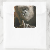 Gorilla Finger Vierkante Sticker (Tas)
