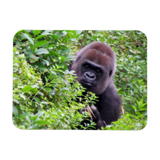 Gorilla Flexible Magnet Magneet