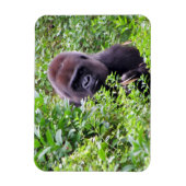 Gorilla Flexible Magnet Magneet (Verticaal)