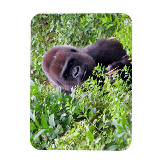 Gorilla Flexible Magnet Magneet (Verticaal)