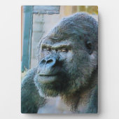 GORILLA FOTOPLAAT (voorkant)