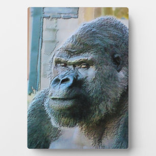 GORILLA FOTOPLAAT