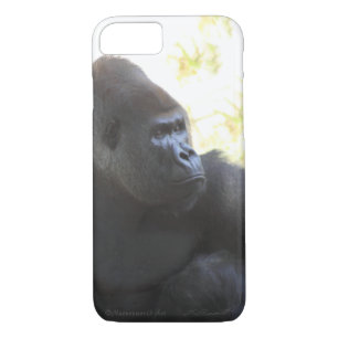 Gorilla Gaze iPhone 7 Hoesje