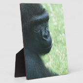 Gorilla Gaze Plaque Fotoplaat (Zijkant)
