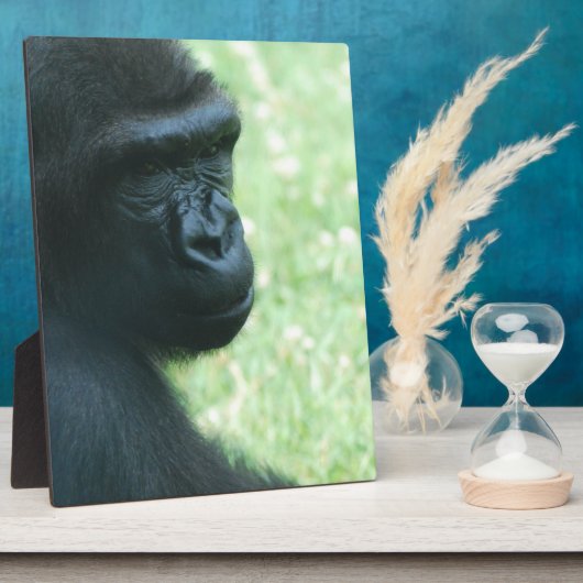 Gorilla Gaze Plaque Fotoplaat (Zijkant)