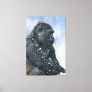 Gorilla Getting Messy Canvas Afdruk