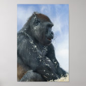 Gorilla Getting Messy Poster (Voorkant)