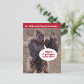 Gorilla Gevangenisvergrendeling tijdens de schuilp Briefkaart (Staand voorkant)