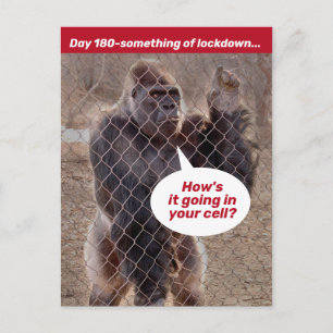 Gorilla Gevangenisvergrendeling tijdens de schuilp Briefkaart