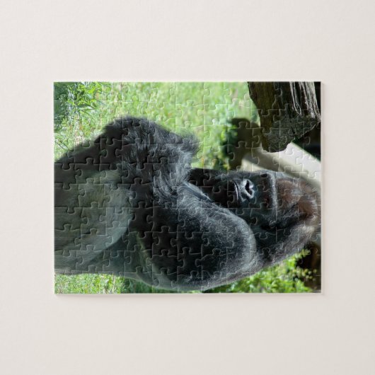 Gorilla Glare Puzzle Legpuzzel (Horizontaal)