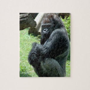 Gorilla Glare Puzzle Legpuzzel
