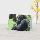 Gorilla Glare-Wenskaart Kaart (Gele Bloem)