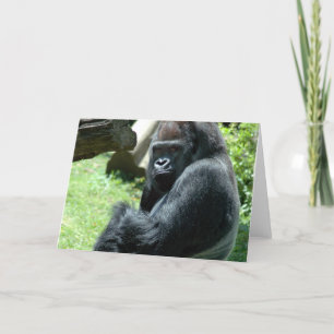 Gorilla Glare-Wenskaart Kaart