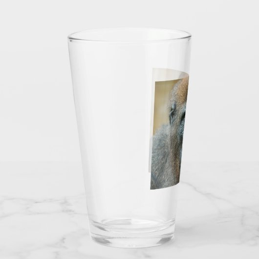 Gorilla Glas (Rechts)